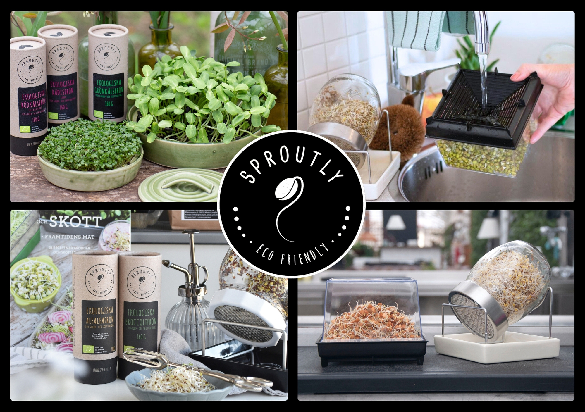 Workshop Sproutly Collage på groddar från Sproutly