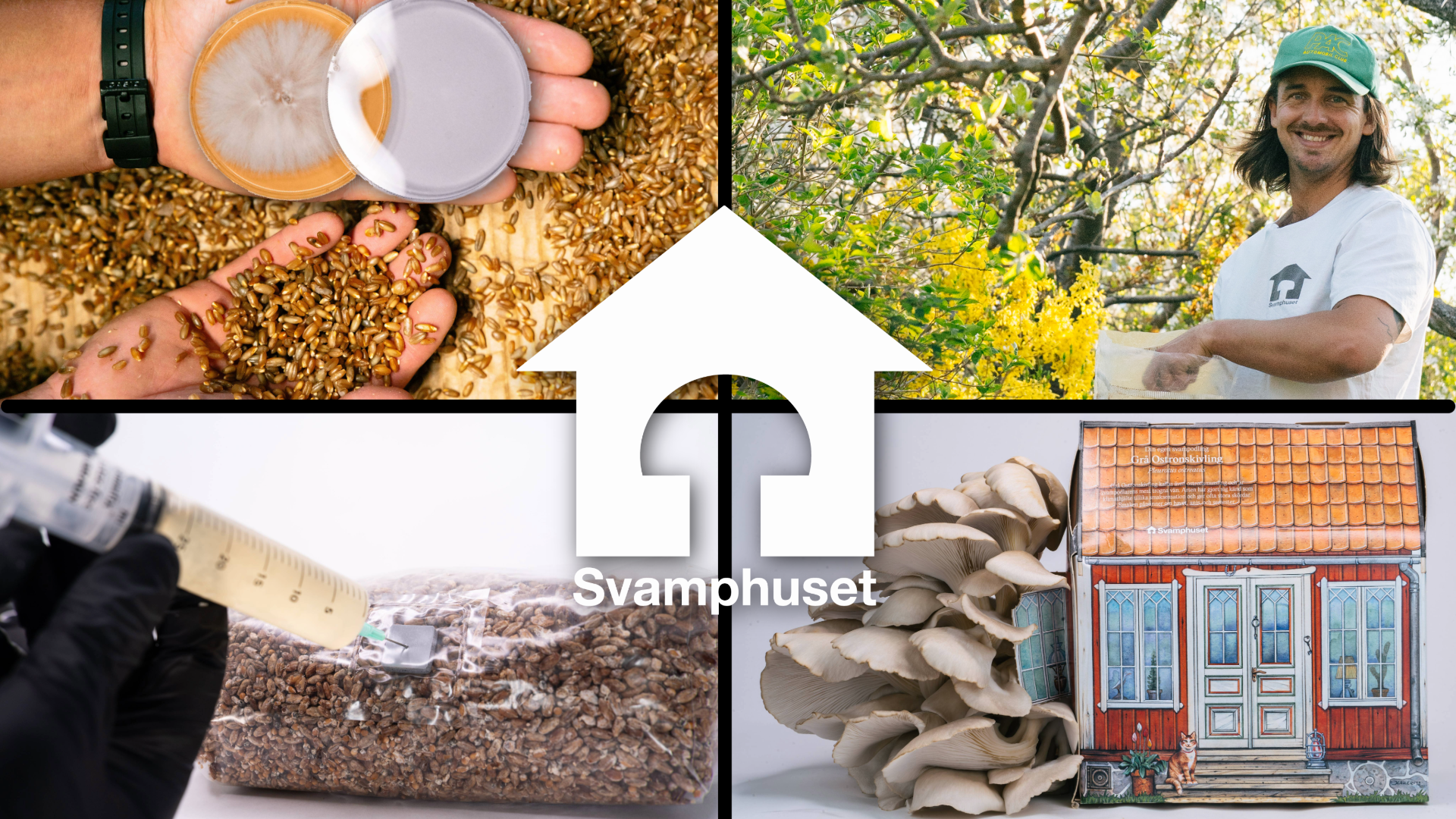 Svamphuset Workshop Collage Svamphuset