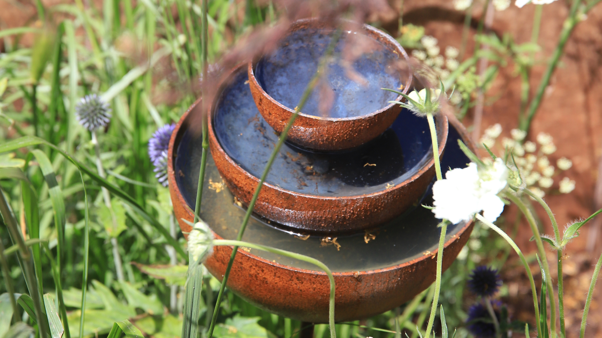 water bath Modern water installation in three levels of rusty bowls, surrounded by grass and blue ball tiles.