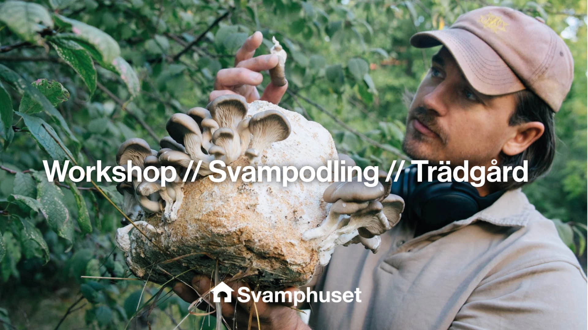 webb-workshopls3 En man håller i en stubbe med svamp