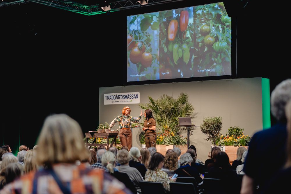 Namnlös design (2) person som pratar på scen fram för mässbesökare som sitter och lyssnar